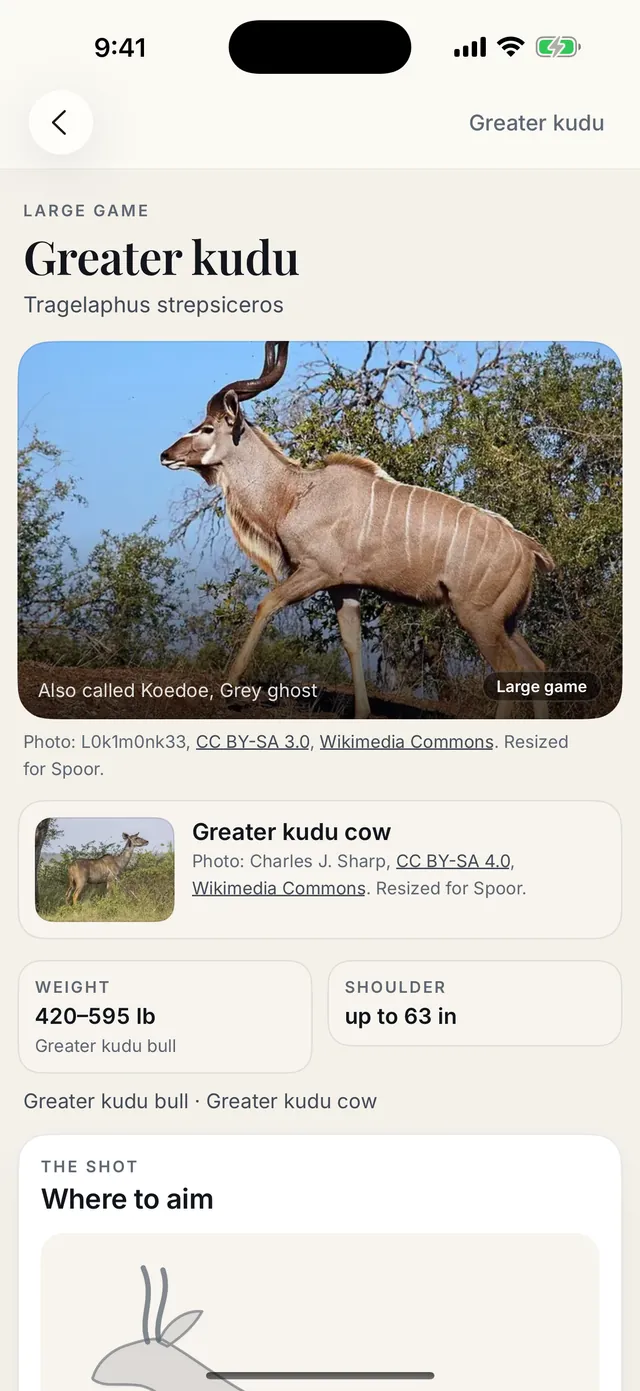 The field guide page for the Greater kudu: a photo, its weight and shoulder height, and where to aim.
